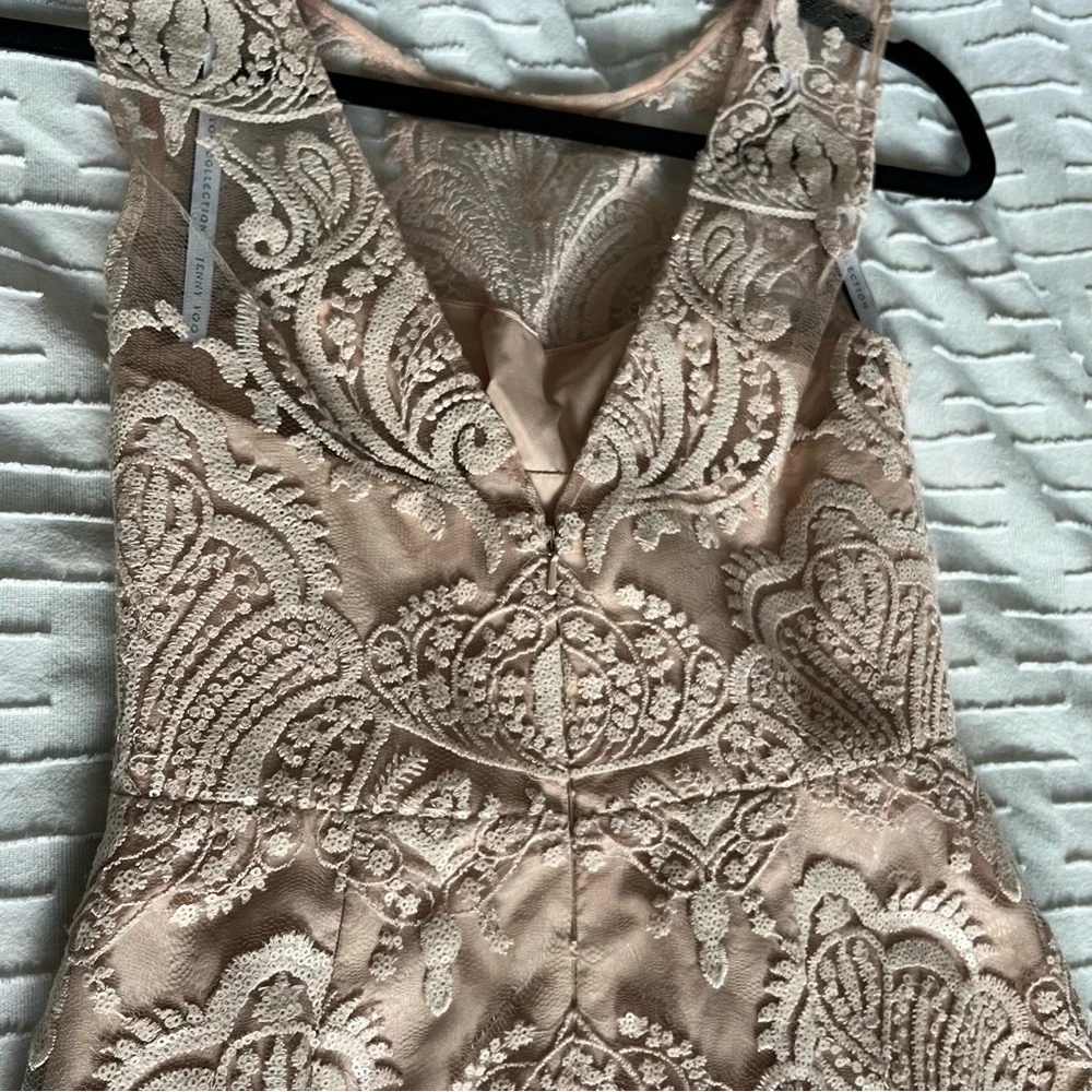 Jenny Yoo Lace Midi Dress - Size 2 Blush from Anthropologie - Picture 10 of 13